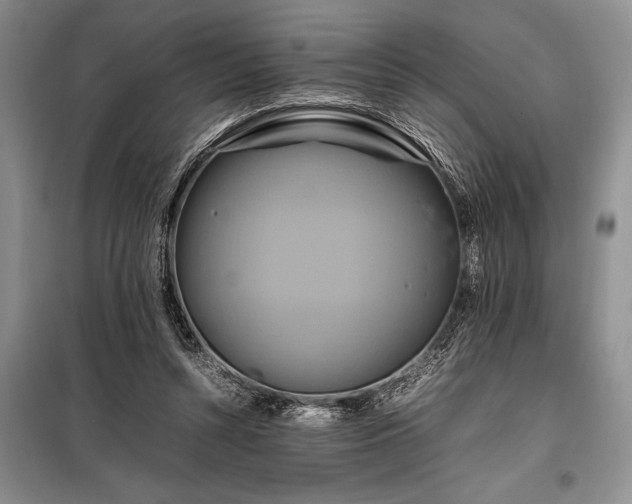 X0000098190352200805011129