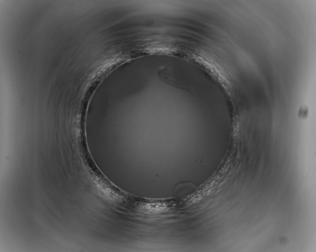 X0000098190353200805011129