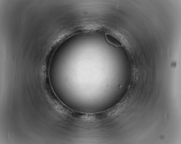 X0000098190354200805011129