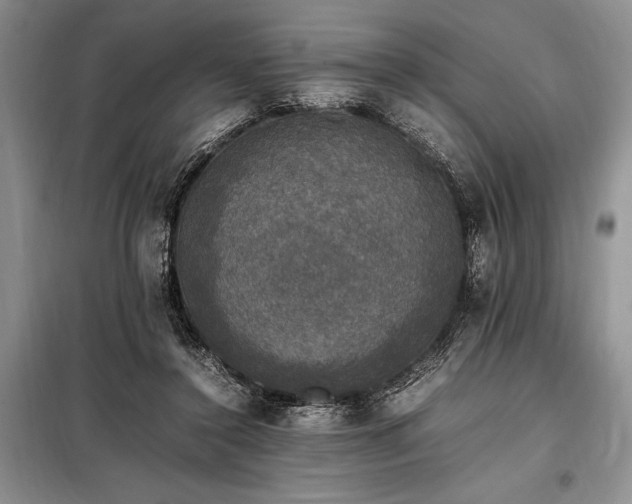 X0000098190356200805011129