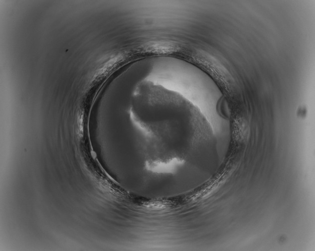 X0000098190358200805011129