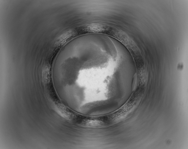 X0000098190360200805011129