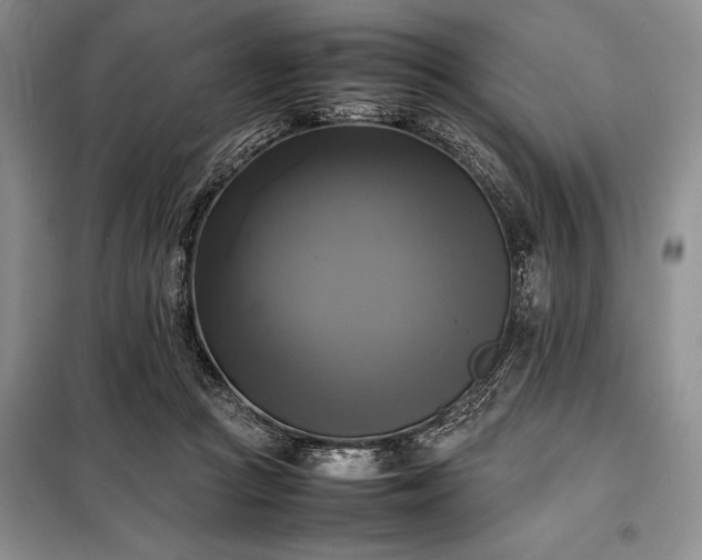 X0000098190361200805011129