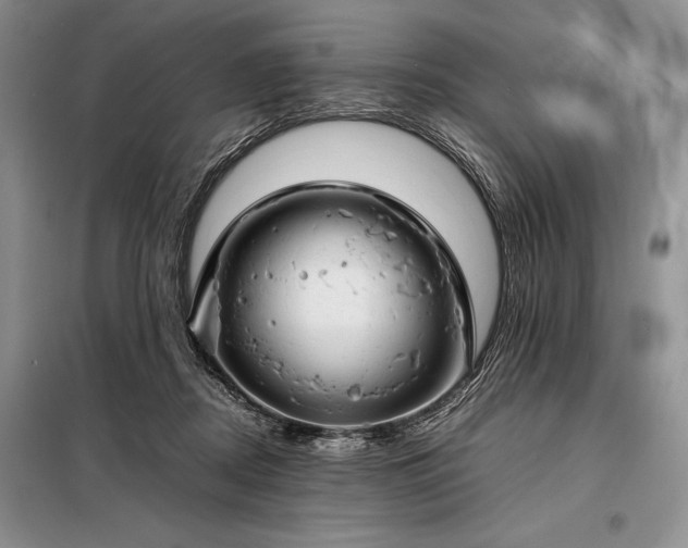 X0000098190362200805011129