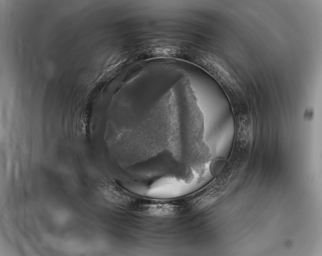 X0000098190363200805011129