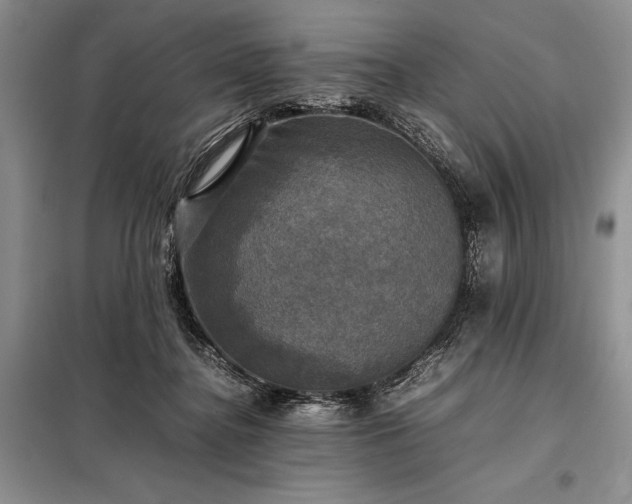 X0000098190364200805011129