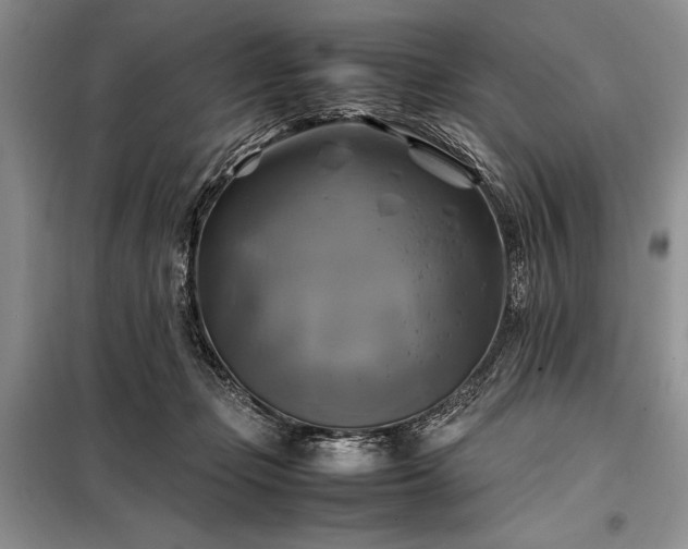 X0000098190365200805011129