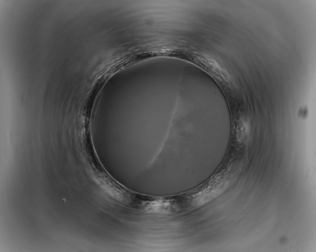 X0000098190366200805011129