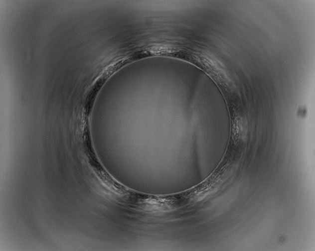 X0000098190367200805011129