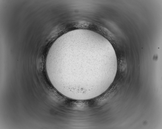 X0000098190370200805011129