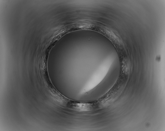 X0000098190371200805011129