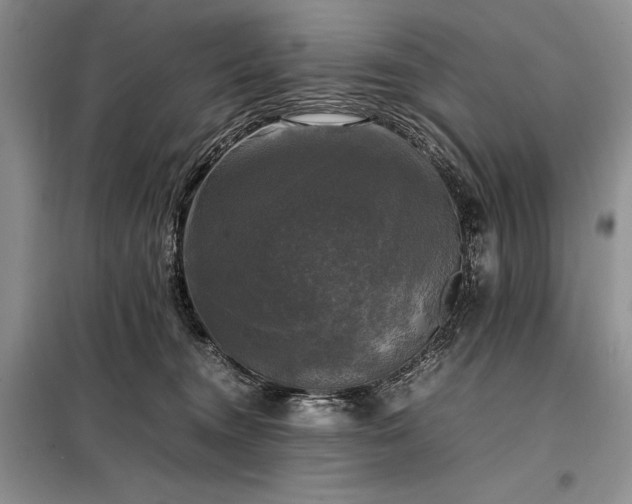 X0000098190372200805011129