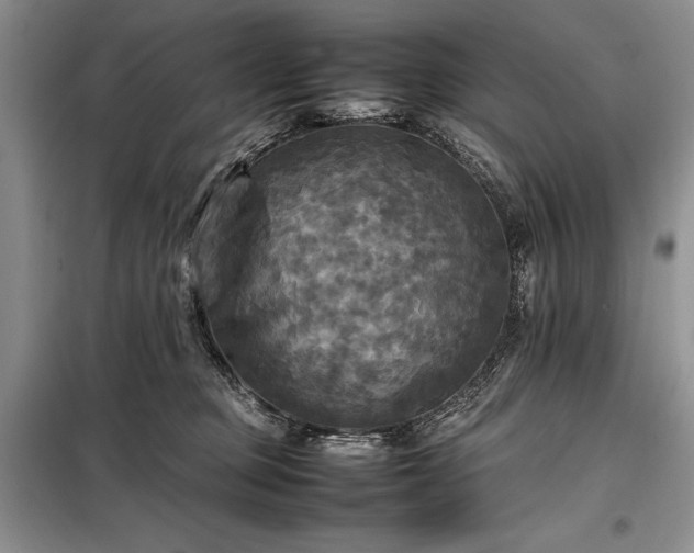 X0000098190373200805011129