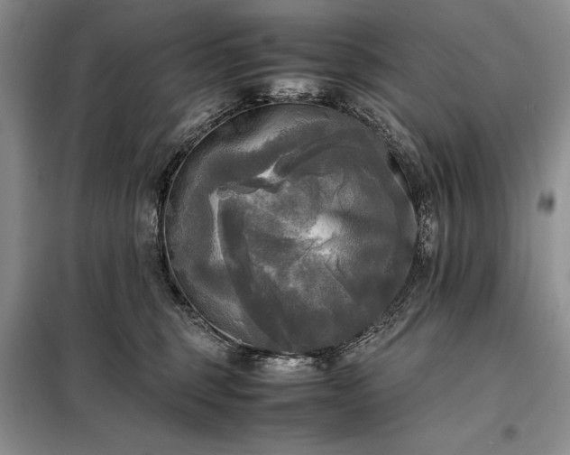 X0000098190375200805011129