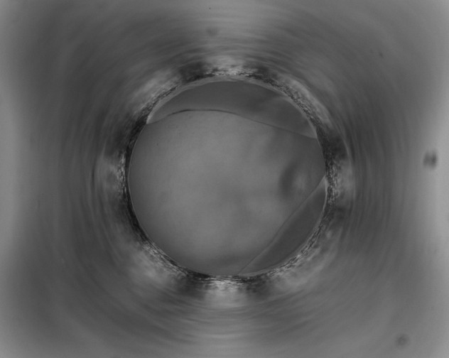 X0000098190376200805011129
