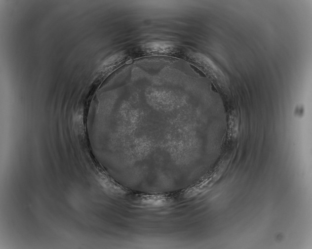 X0000098190377200805011129