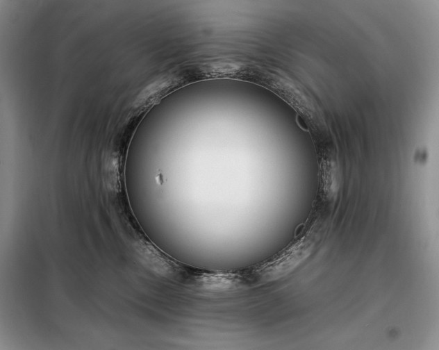 X0000098190378200805011129