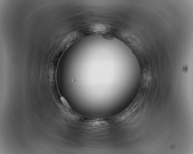 X0000098190379200805011129