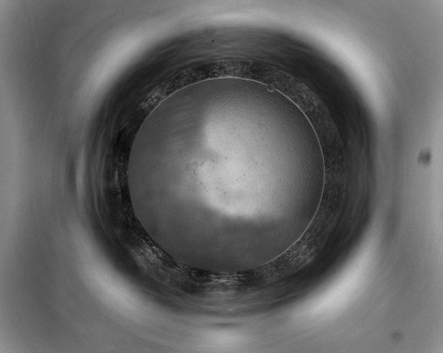 X0000098190382200805011129