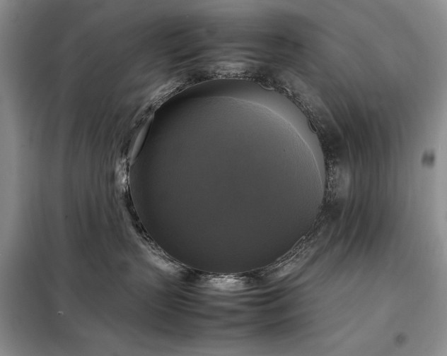 X0000098190383200805011129
