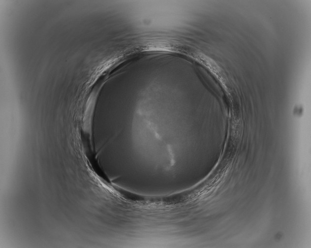 X0000098190385200805011128