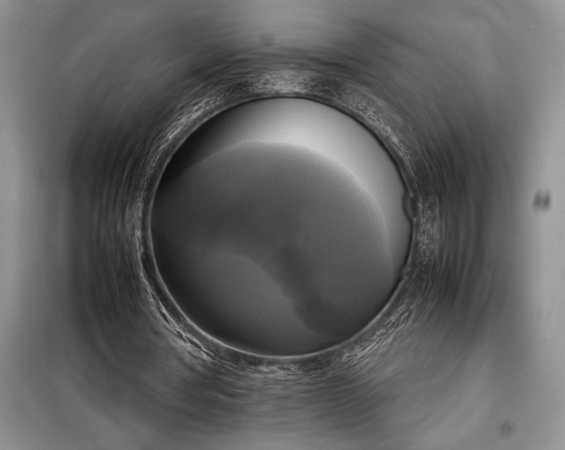 X0000098190386200805011128