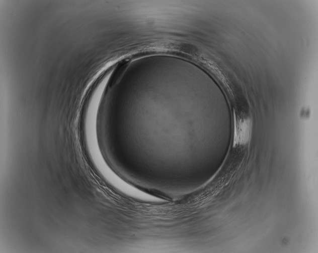 X0000098190387200805011128