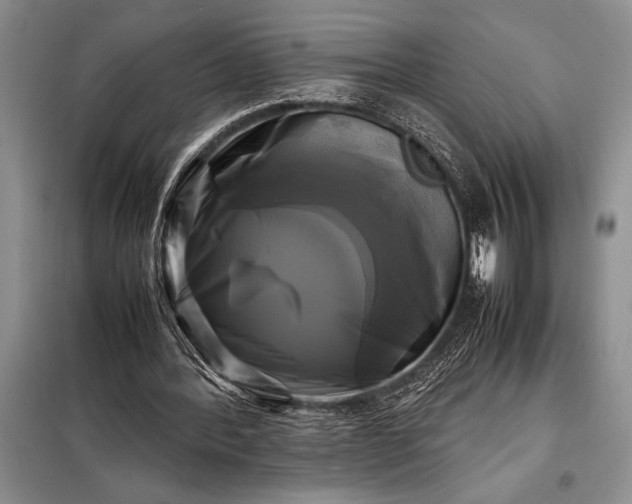 X0000098190388200805011128