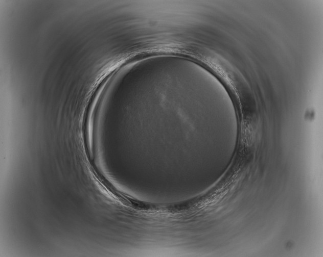 X0000098190389200805011128