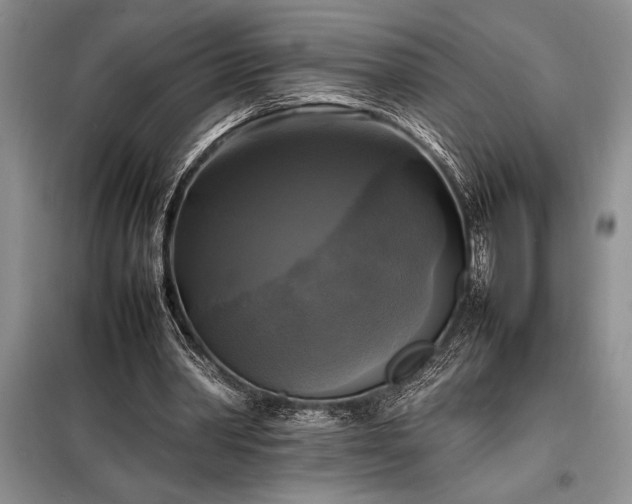 X0000098190390200805011128