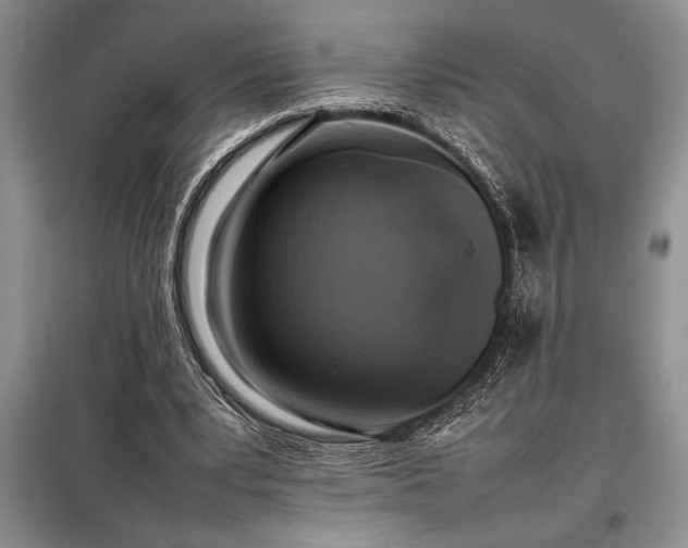 X0000098190391200805011128