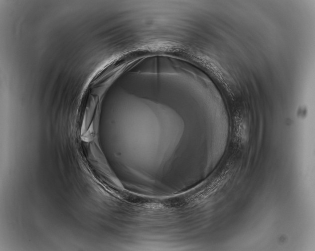 X0000098190392200805011128