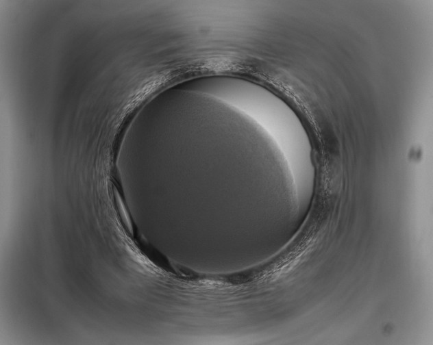 X0000098190393200805011128
