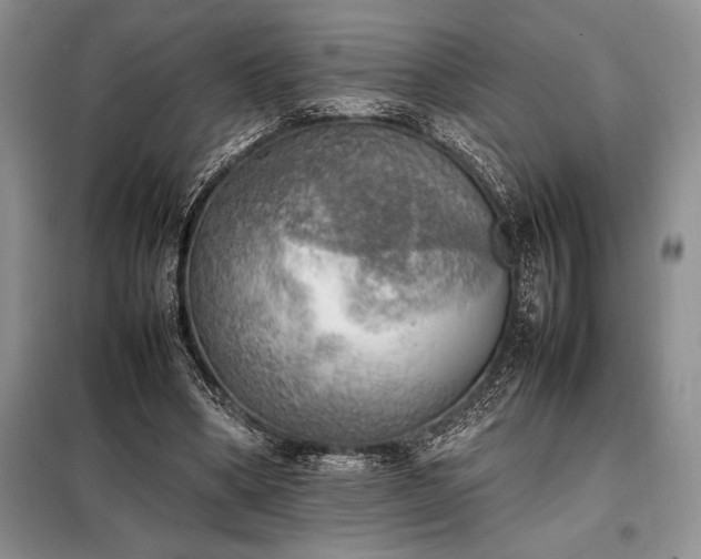 X0000098190394200805011128