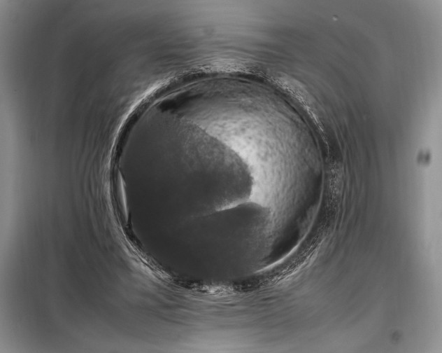 X0000098190395200805011128