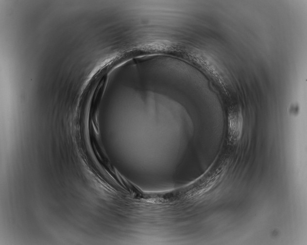 X0000098190396200805011128