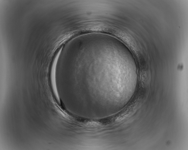 X0000098190397200805011128