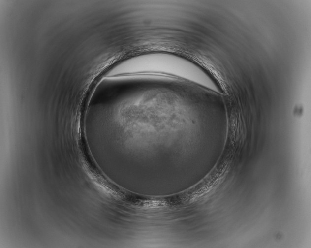 X0000098190398200805011128