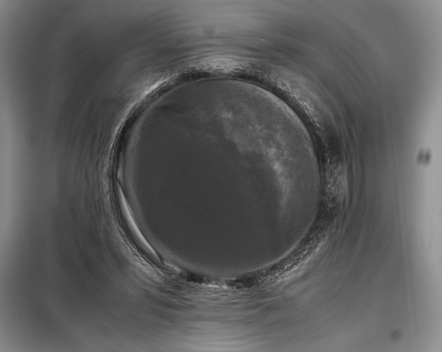 X0000098190399200805011128