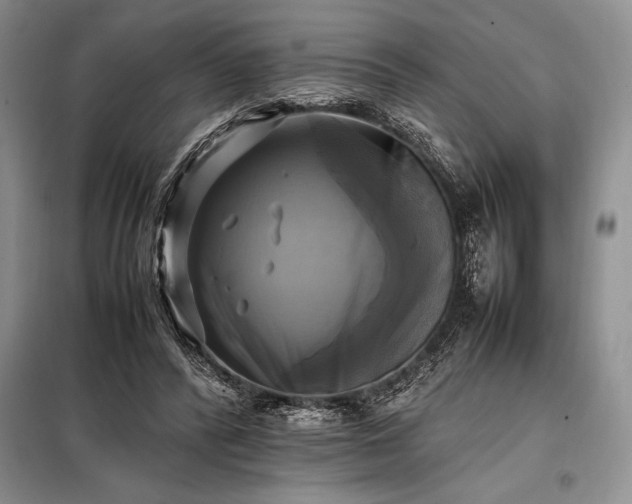 X0000098190400200805011128