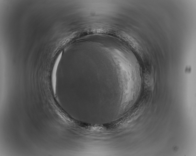 X0000098190401200805011128