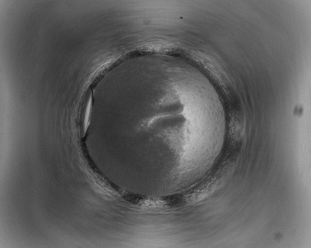 X0000098190403200805011128