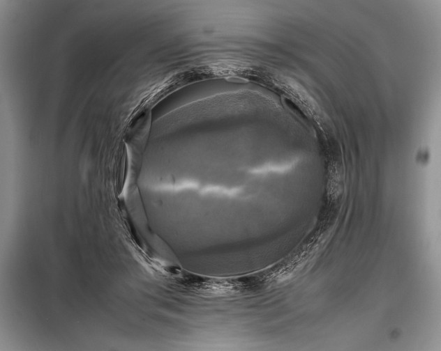 X0000098190405200805011128