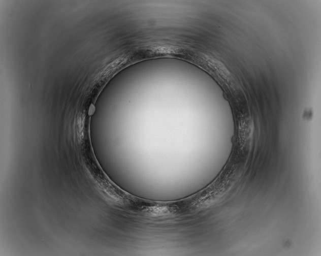 X0000098190406200805011128