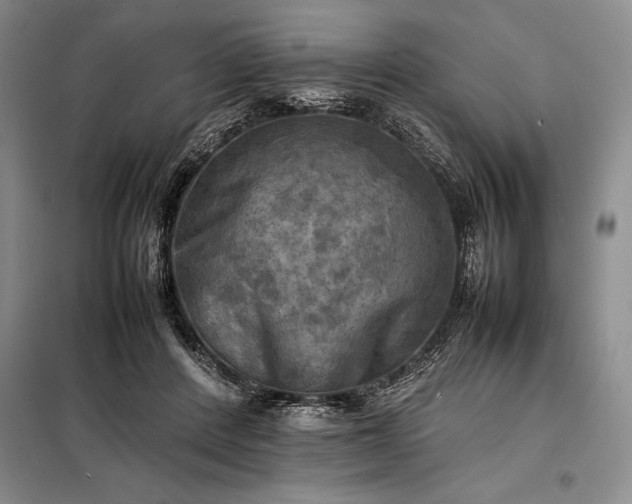 X0000098190408200805011128