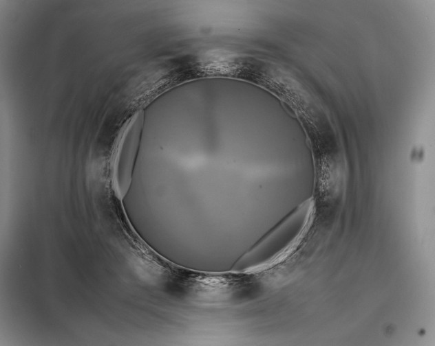 X0000098190409200805011128