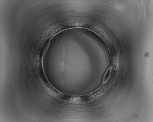 X0000098190410200805011128