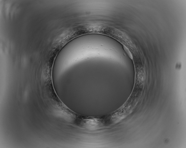 X0000098190411200805011128