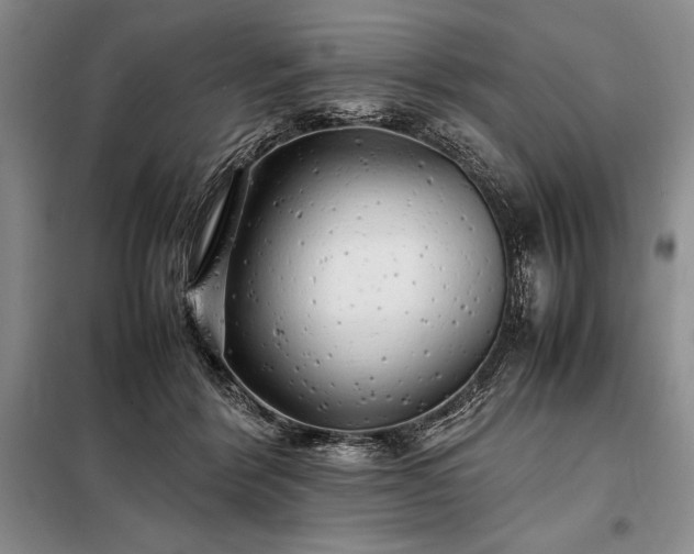 X0000098190412200805011128