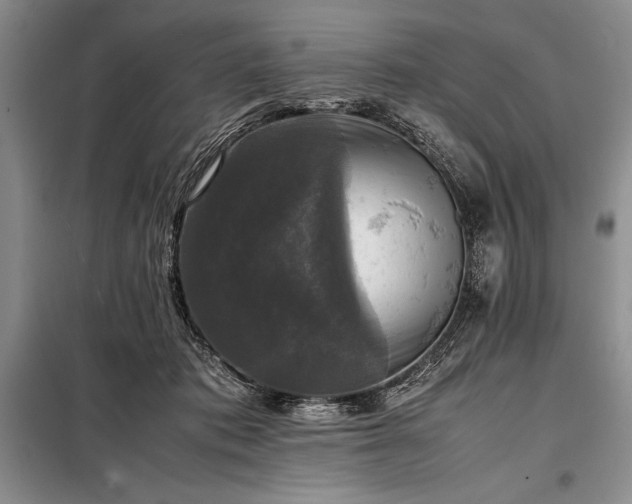 X0000098190413200805011128